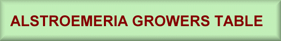 alstroemeria growers table